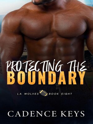 cover image of Protecting the Boundary